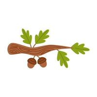 Vector illustration of cartoon oak branch isolated on white background.