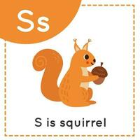 Learning English alphabet for kids. Letter S. Cute cartoon squirrel. vector