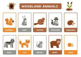 Cute cartoon woodland animals with names. Flashcards for learning English. vector