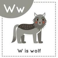 Learning English alphabet for kids. Letter W. Cute cartoon wolf. vector