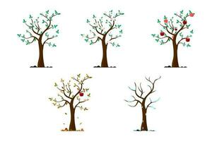 manzana árbol en diferente estaciones. árbol en otoño. manzana árbol en invierno, verano, primavera. vector