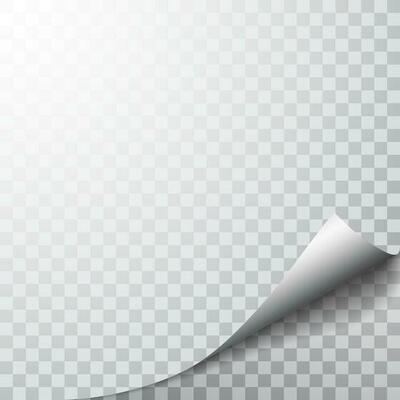 Paper page with curled corner and shadow. Template for your design. Set. Vector illustration