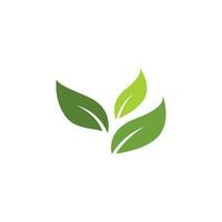 logotipos de la ecología de la hoja del árbol verde vector