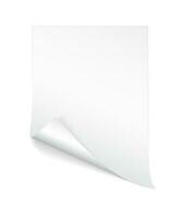 Blank A4 sheet of white paper with curled corner and shadow, template for your design. Set. Vector illustration