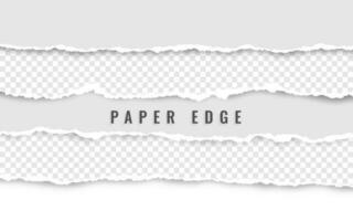 Horizontal torn paper edge. Ripped squared horizontal white paper strips. Vector illustration