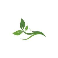 Logos of green Tree leaf ecology vector