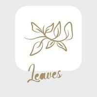 Line art leaves and outline leaf for beauty wedding invitation vector