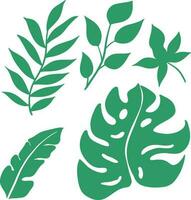 set leaf vector. collection of leaves. vector