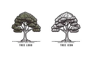 árbol contorno bosquejo dibujo vector, árbol logo icono, árbol logo Arte dibujo, planta limpiar sencillo icono, árbol icono contorno estilo, árbol silueta vector