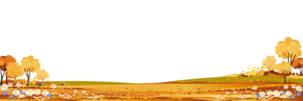 Herbst Felder Landschaft mit Kopieren Raum, Panorama fallen ländlich Natur mit Angebot Laub, Cartoon Illustration Banner zum das Erntedankfest oder Mitte Herbst Festival Hintergrund png