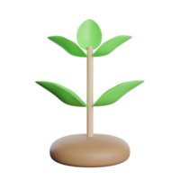 crecimiento planta verde png