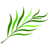 green leaf aesthetic png