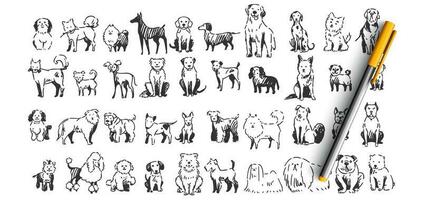 Dogs doodle set vector
