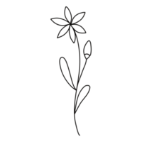 Line Art Floral png