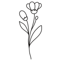 Linie Kunst Blumen- Hand gezeichnet png