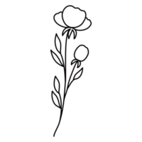 Line Art Floral Hand Drawn png