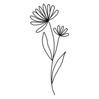 lijntekeningen bloemen png