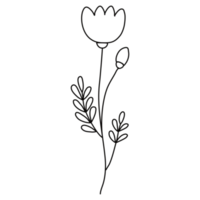 Strichzeichnungen Blumen png