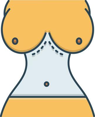 Breast Size Vector Art, Icons, and Graphics for Free Download