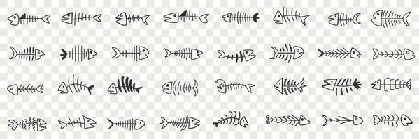 Fish bones pattern doodle set. Collection of hand drawn various shapes of fish bones skeleton with head isolated on transparent vector