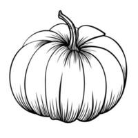 Linear pumpkin. Autumn vector illustration. Thanksgiving. Halloween. October