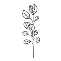 Linear botanical clipart of branch Vector
