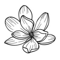 Line art clipart of magnolia flower on white background, vector