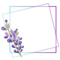 lilac square frame with flowers vector