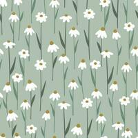 Seamless pattern with delicate camomile flowers vector