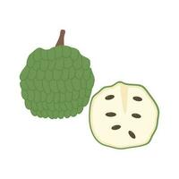 fruit ripe cherimoya or custard apple illustration vector