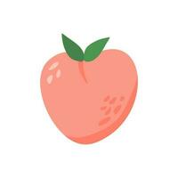 fresh peach fruit vector