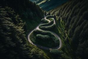 drone view of winding road surrounded by lush green trees in forest. photo