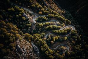 drone view of winding road surrounded by lush green trees in forest. photo