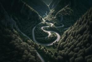 drone view of winding road surrounded by lush green trees in forest. photo