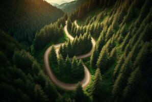 drone view of winding road surrounded by lush green trees in forest. photo