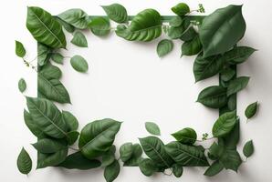 Frame of green leaves on a white background. lay flat. photo