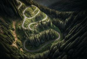 drone view of winding road surrounded by lush green trees in forest. photo