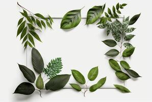 Frame of green leaves on a white background. lay flat. photo