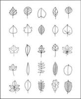 Hand Drawn Leaf Outline vector