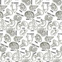 Sample contour of human internal organs for surgery and transplantation. Including heart, liver, kidneys, eye, bladder, pancreas, brain, intestines, stomach and names. Flat seamless pattern on white vector