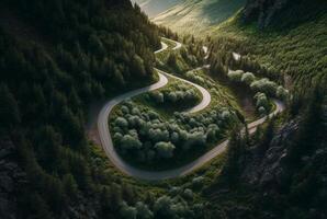 drone view of winding road surrounded by lush green trees in forest. photo