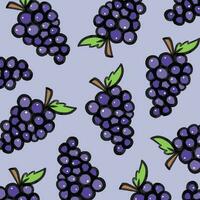 púrpura redondo dibujos animados resumido uva frutas vector ilustrativo modelo aislado en ligero púrpura cuadrado antecedentes. sencillo plano Arte estilizado sano comida dibujo para póster, envase papel, huellas dactilares.