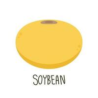Soybean vector. Soybean on white background. free space for text. vector