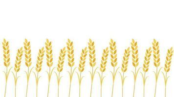 Wheat pattern wallpaper. oat symbol. free space for text. rice sign. Rice pattern wallpaper. vector