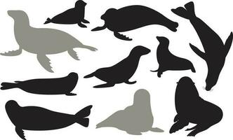 Set of different acting Seal silhouettes for design use. Silhouettes of Seal are isolated on a white background. vector