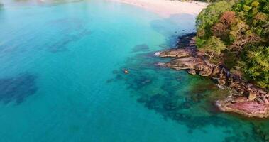 aereo fuco Visualizza di famiglia lo snorkeling al di sopra di corallo scogliera in giro roccioso costa con chiaro turchese mare video