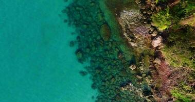 aéreo zangão Visão do a rochoso litoral com Claro turquesa mar e Palma árvore video
