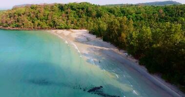 Aerial drone view of the tropical beach with clear turquoise sea, white sand and palm tree video