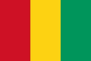 Guinea flag, official colors and proportion. Vector illustration.