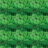 Leaves of the monstera. Exotic print. Seamless pattern. Vector. vector